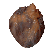 even Clem wanted one of this'rn